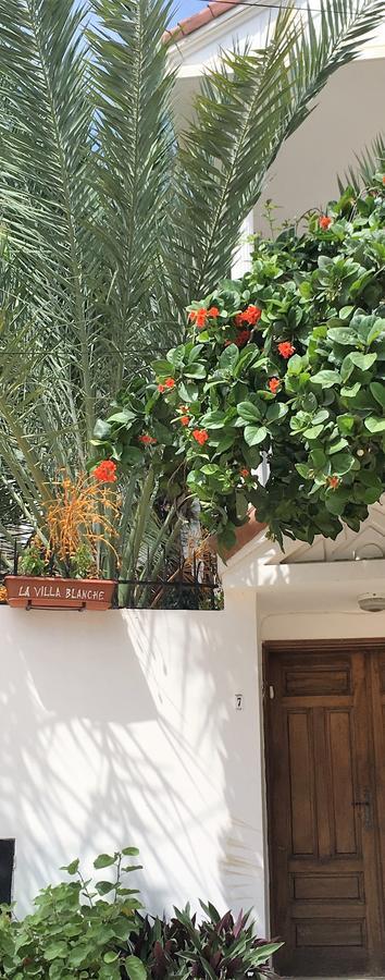 داكاغْ La Villa Blanche المظهر الخارجي الصورة